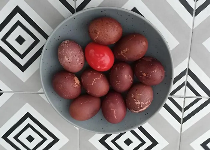 Nerissa No 5 * Σπαρτιά